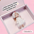 5-Piece Doll Gift Set – 17cm Soft Plush Dolls in Gift Box